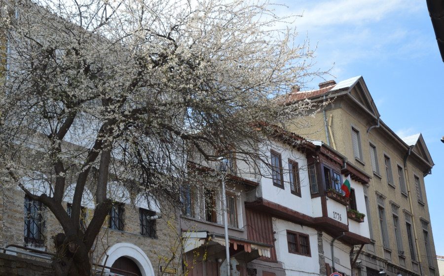 Veliko Tarnovo o zi