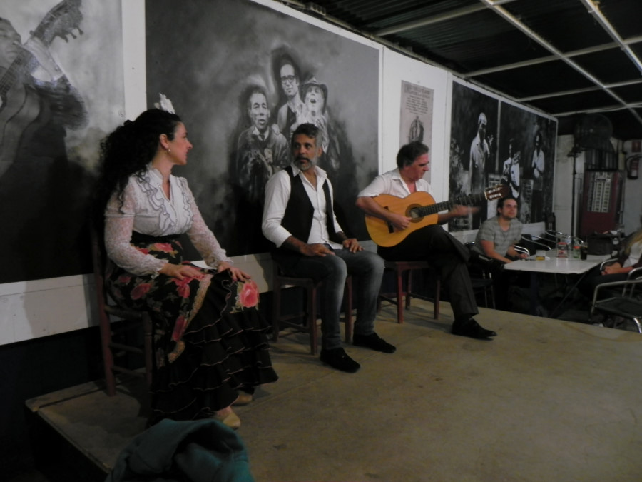 Spectacol de flamenco in Sevilia