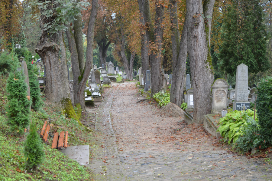 Cimitir Sighisoara